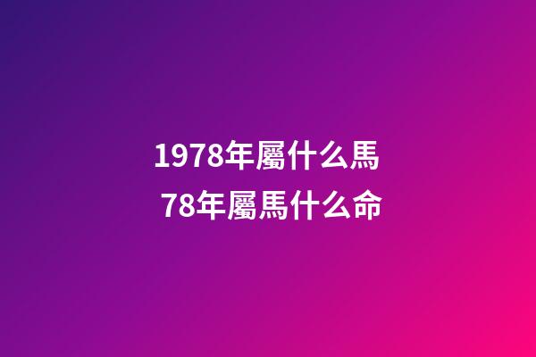 1978年屬什么馬 78年屬馬什么命